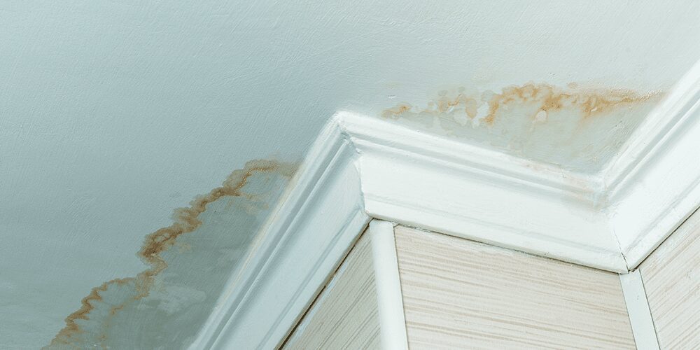 Water stain marks on a ceiling with a leak