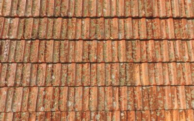 The Impact of El Niño on Your Roof: Why Preparation is Key in Queensland